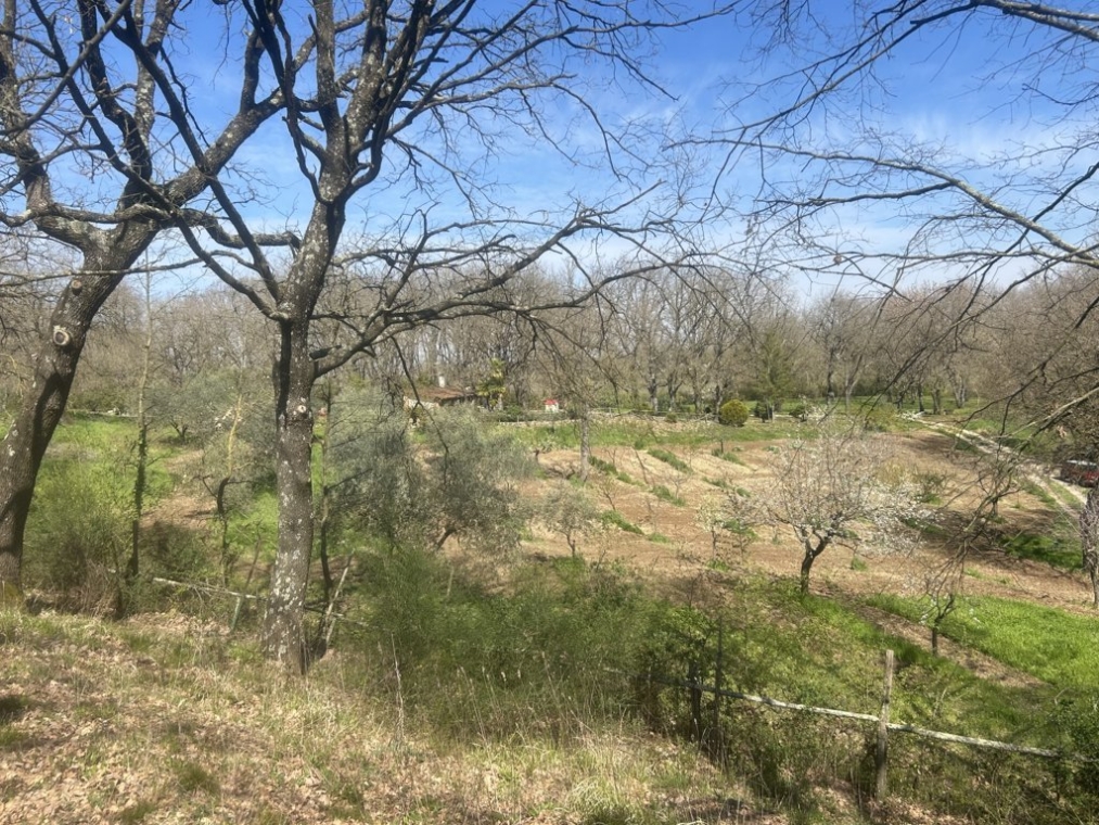 IMG_4328 (FILEminimizer).jpeg